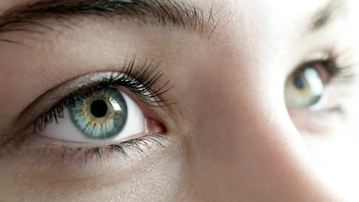 Qual o Melhor Suplemento para os Olhos