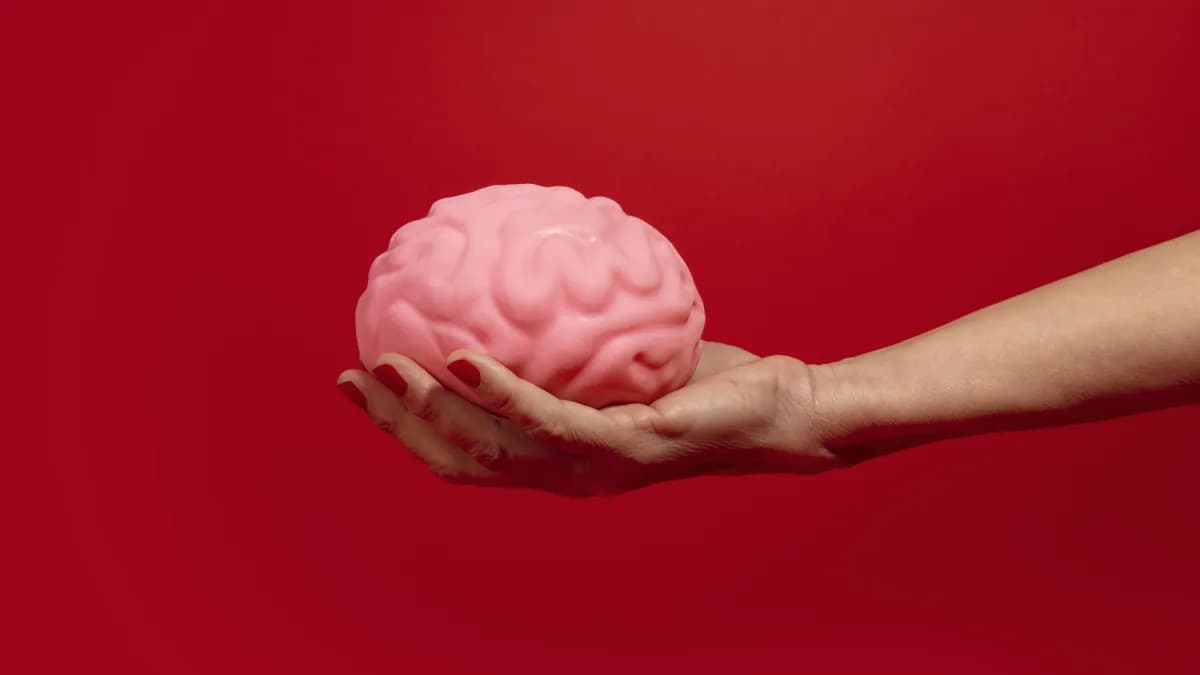 Lei para superdotados: avanço para crianças, lacuna para adultos