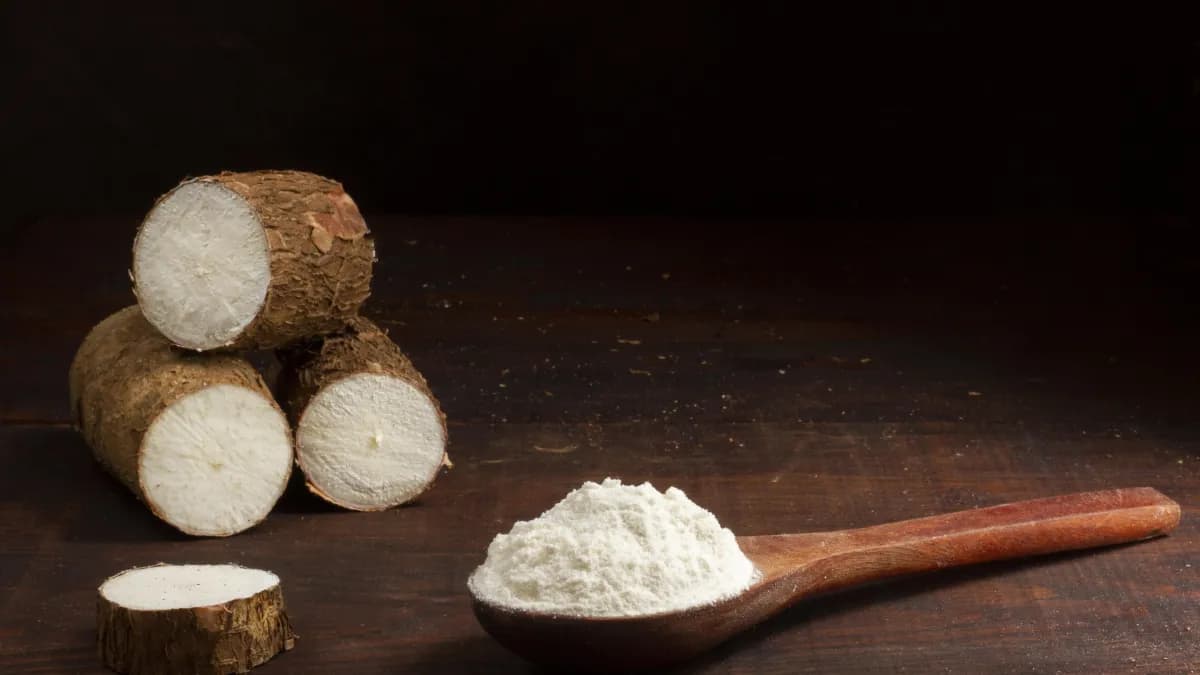 Farinha de mandioca: mitos e benefícios para a saúde