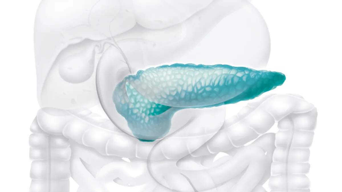 Caneta mensal reduz gordura no sangue e previne pancreatite